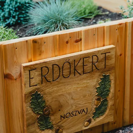 Erdokert *